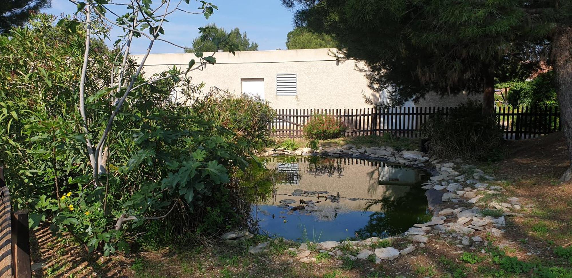 Maison"La Cigale Du Sud" Calvisson Exteriör bild